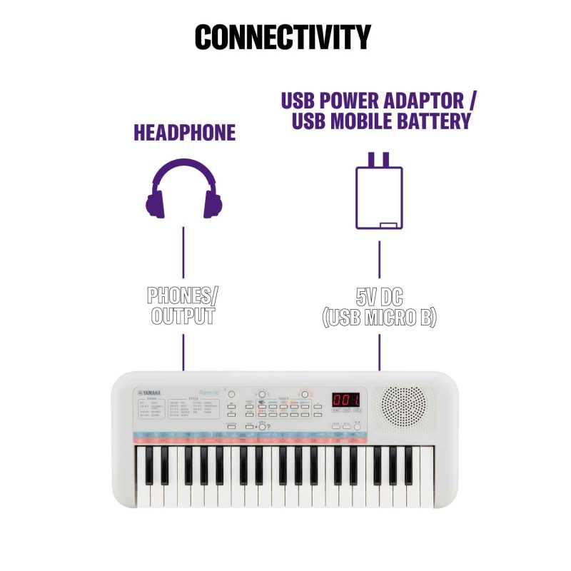 PSS-E30-09-connectivity